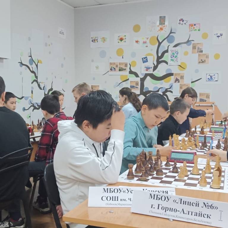 25 марта 2024 года состоялось открытие регионального этапа всероссийских соревнований по шахматам «Белая Ладья»
