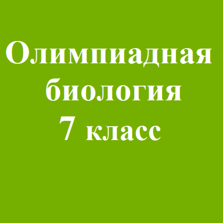 Дистанционная образовательная программа
